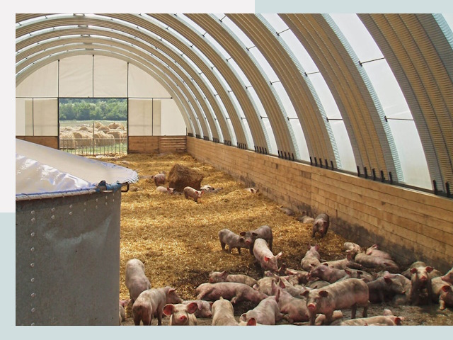 Строительство свинарников в Щекино